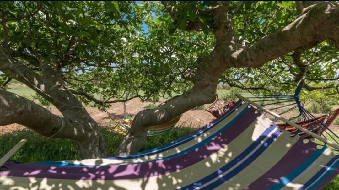 Le Cernicole Villa Melissano Dış mekan fotoğraf