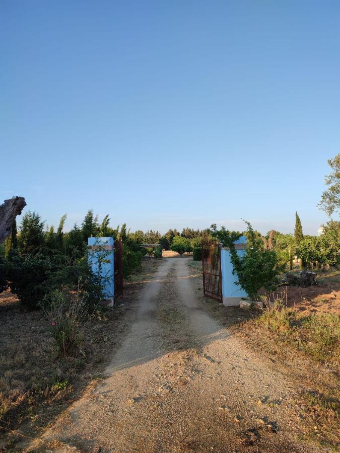 Le Cernicole Villa Melissano Dış mekan fotoğraf