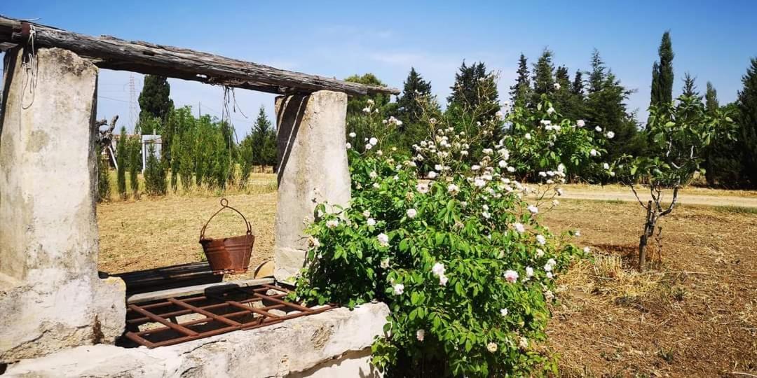 Le Cernicole Villa Melissano Dış mekan fotoğraf